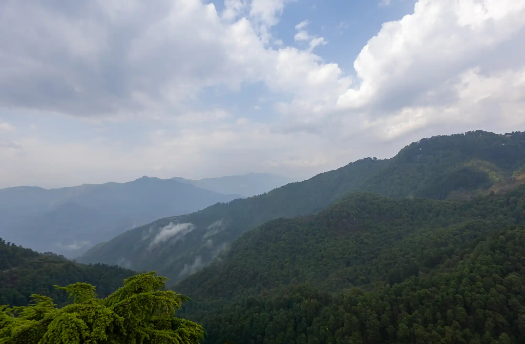 Snowdrop Glamps, Mussoorie