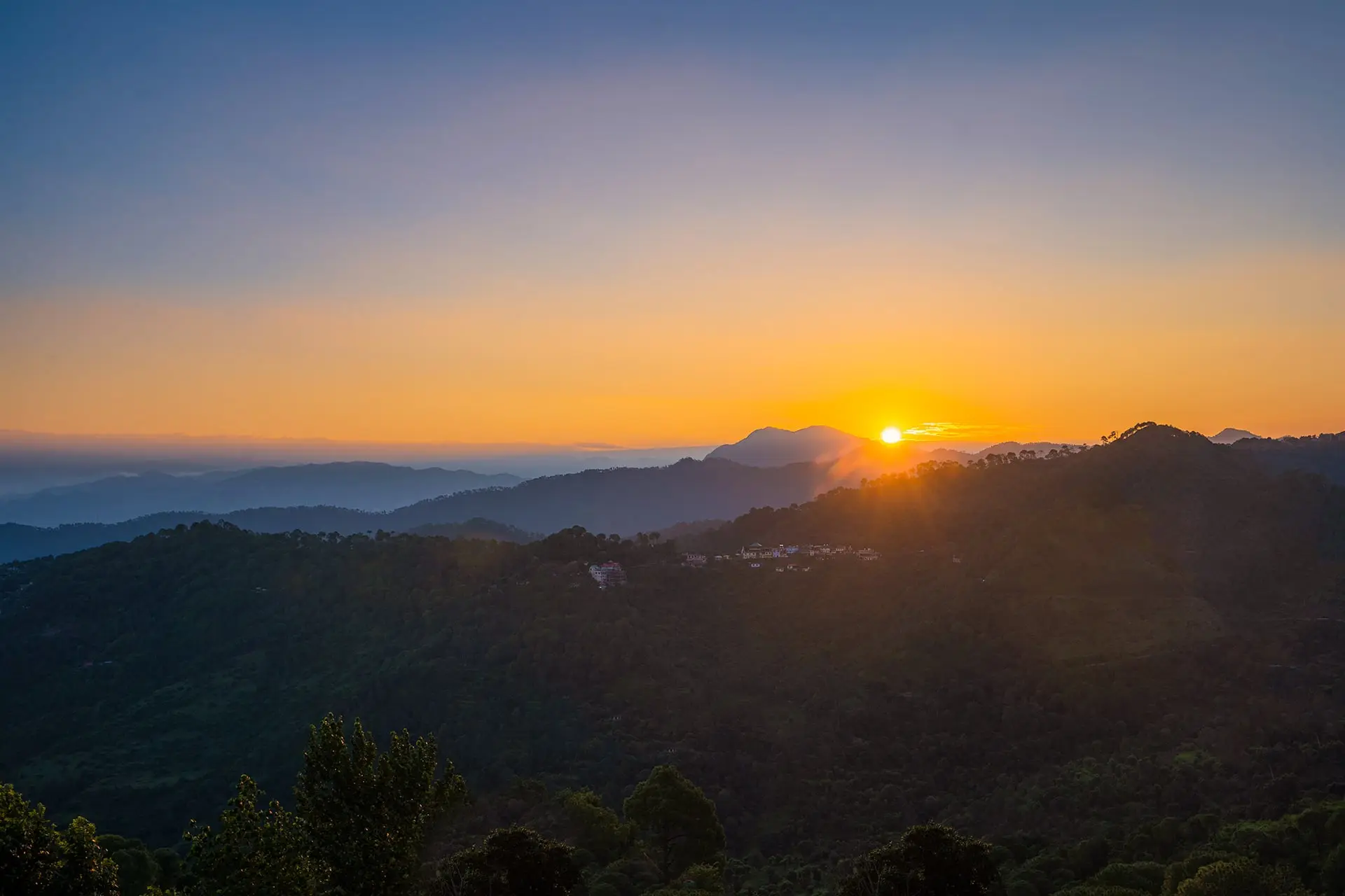 Springfield, Kasauli