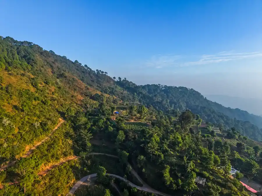 Stars and WindSongs Pines, Kasauli