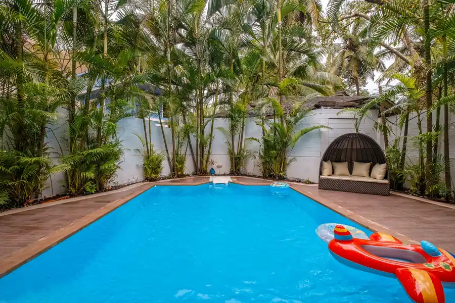 Summer Days - Saligao, North Goa
