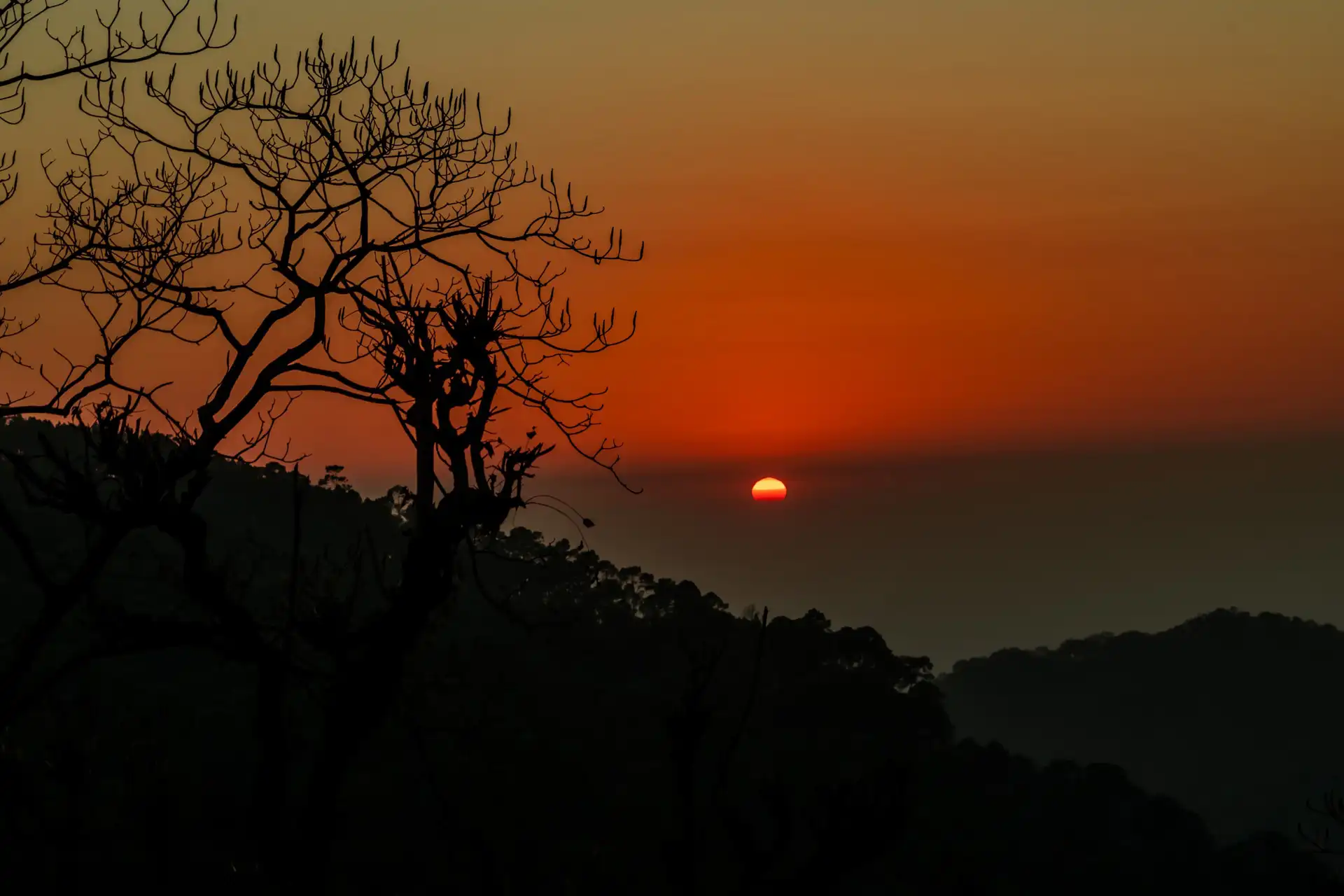 Sunset Springs W/ Swimming pool, Nainital