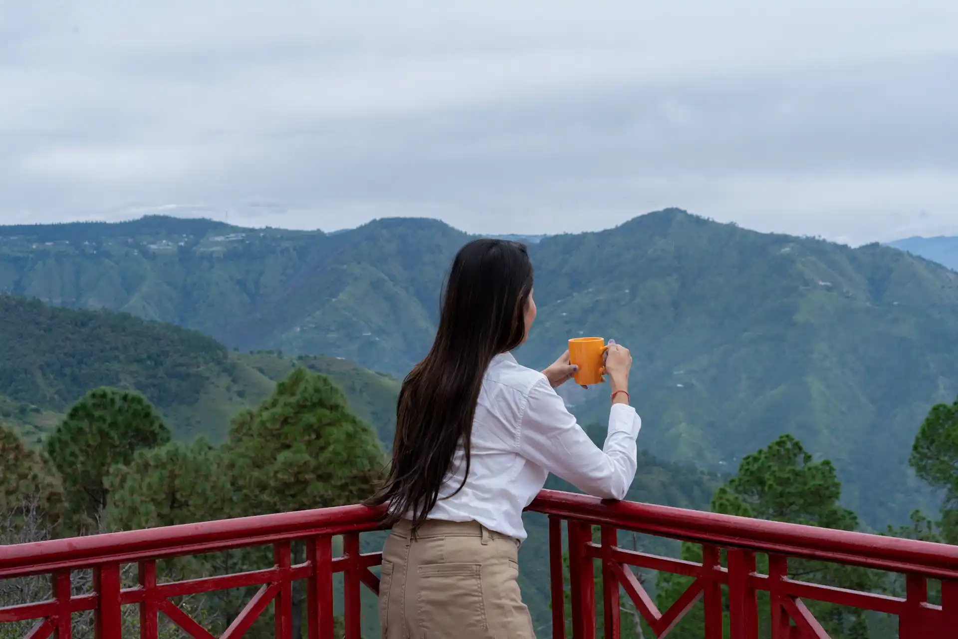 Sunshine Estate - Chail, Shimla