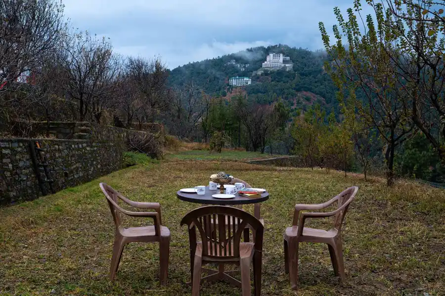 Sunshine Estate - Chail, Shimla