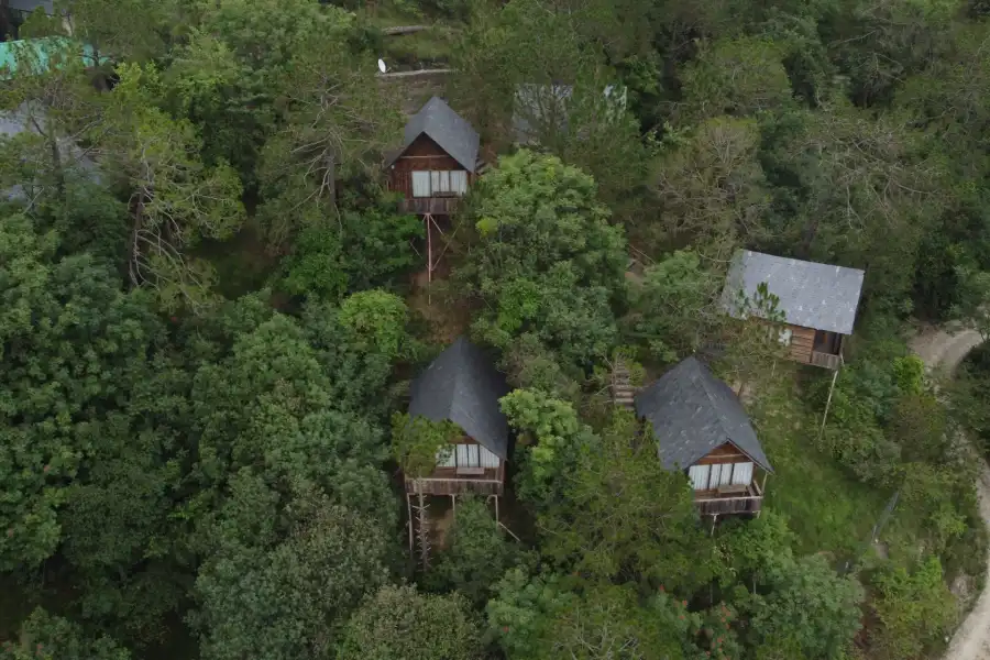 Suro Woodbine Chalet, Kasauli