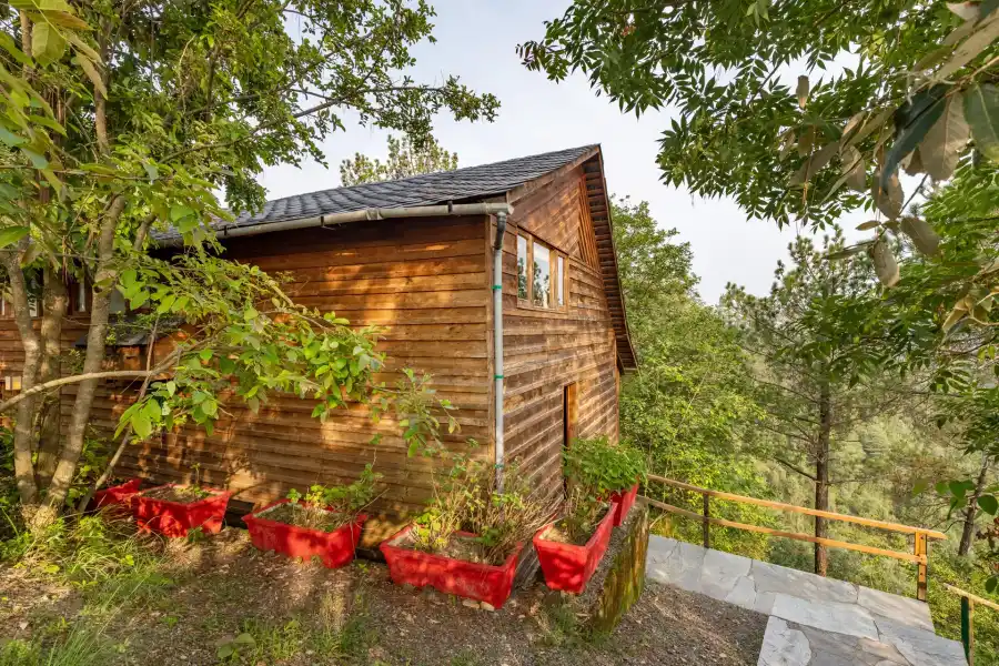 Suro Woodcrest Chalet, Kasauli