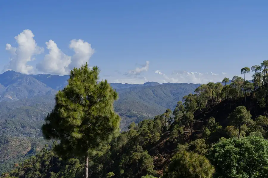Suvas Villa, Ranikhet