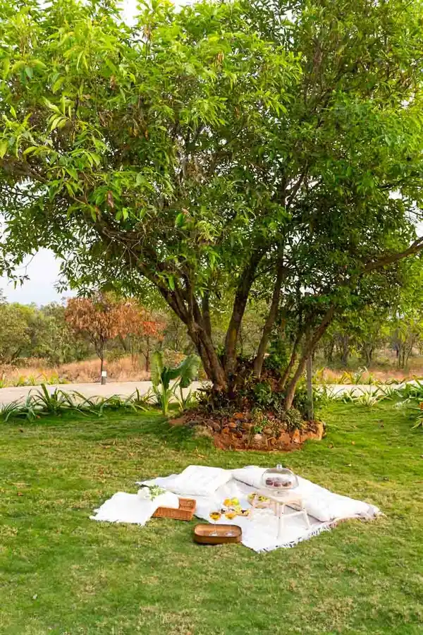 Swala @ Masava - Luxury Tents, Lonavala