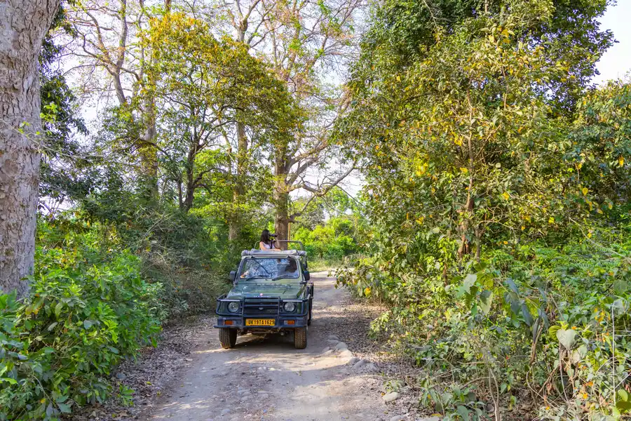 Sylvaara Canopy, Jim Corbett