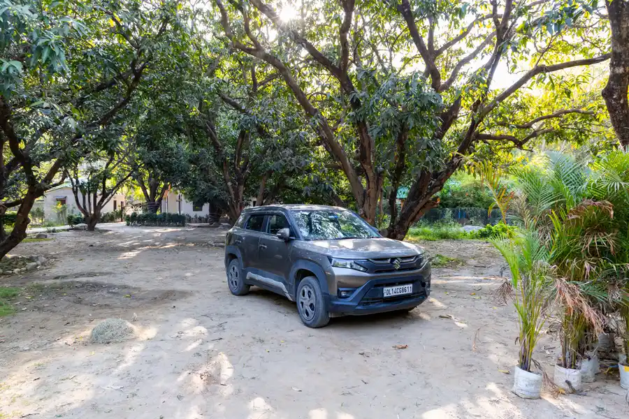 Sylvaara Meadow, Jim Corbett