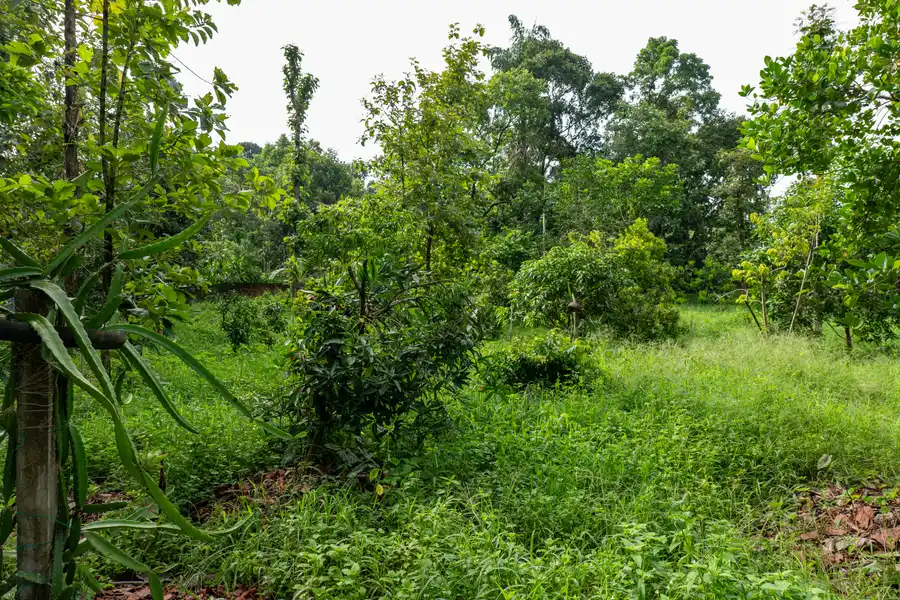 Tales By Tamarind, Kochi