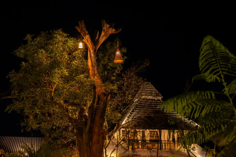 Tapovana Zarae, Bengaluru