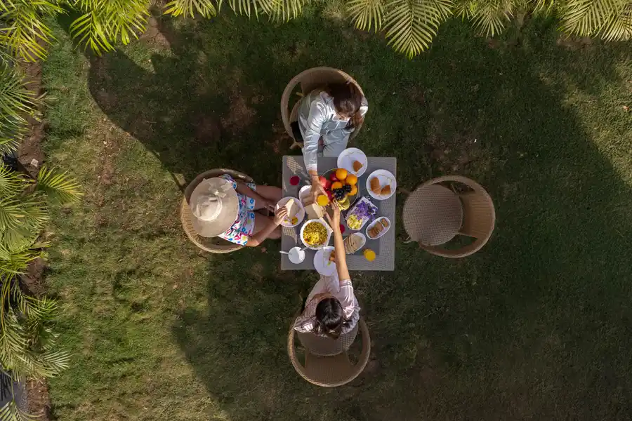 Terra Vista, Jaipur