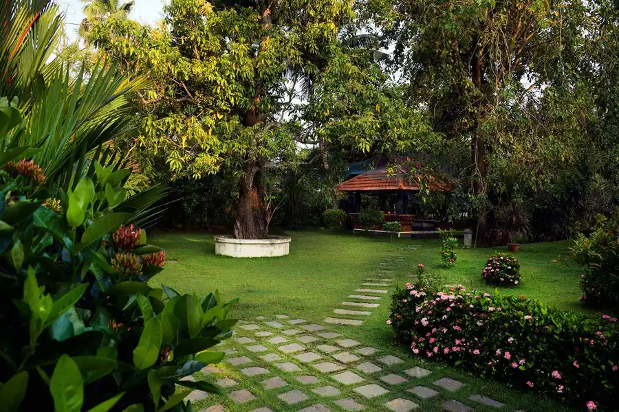 The Backwater Heritage, Alleppey