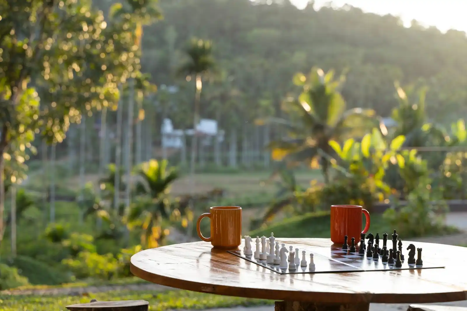 The Big Chill, Wayanad