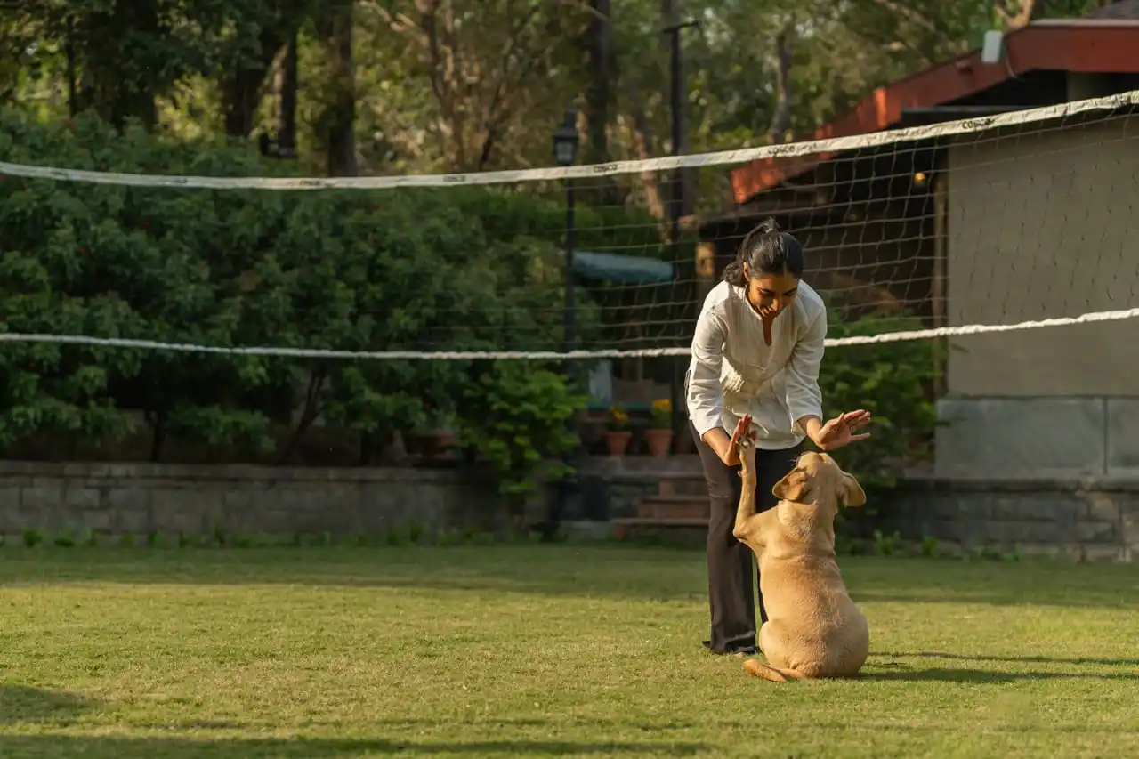 The Birdwood Estate, New Delhi