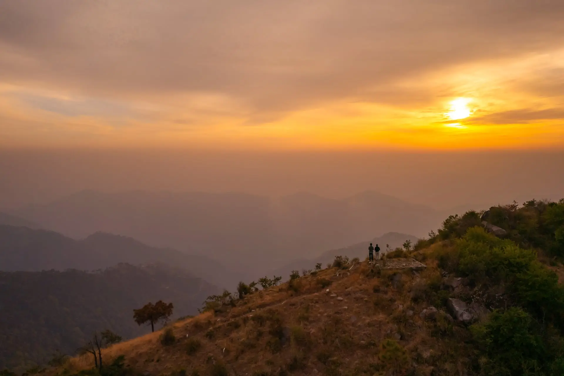 The Hush Escape W/ Bonfire, BBQ in Arki, Kasauli