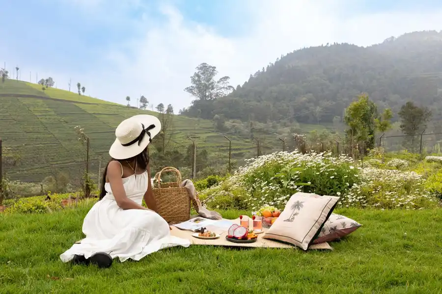 The Hydrangeas - Coonoor, Ooty