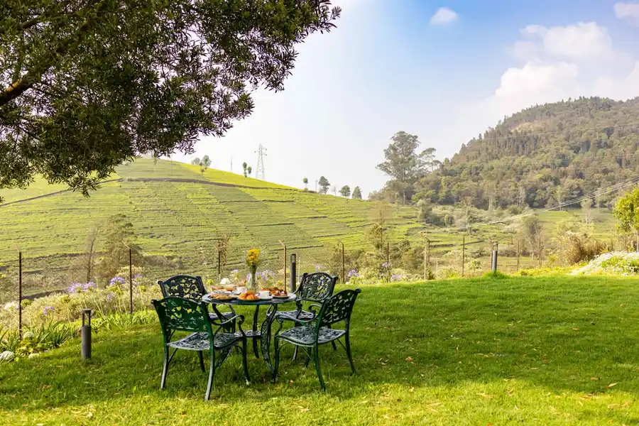 The Hydrangeas - Coonoor, Ooty