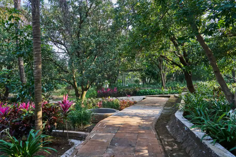The Ivory Chest, Karjat