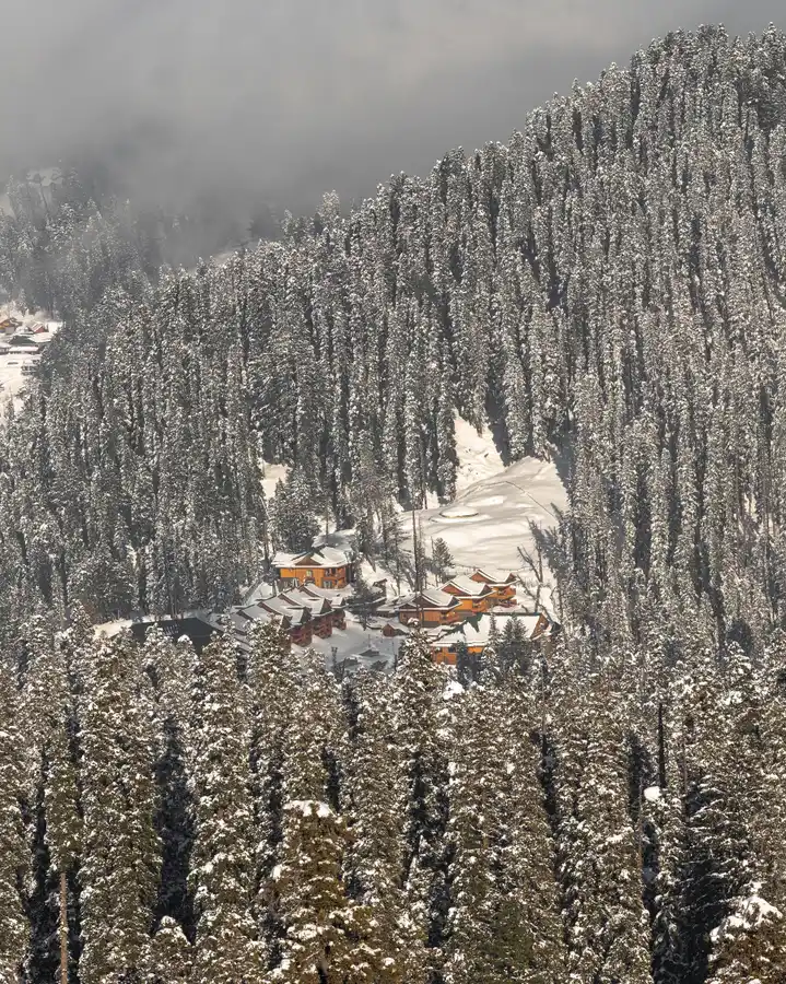 The Khyber Himalayan Resort & Spa Views