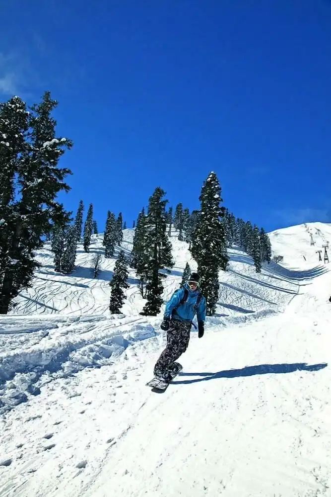 The Khyber Himalayan Resort & Spa Views