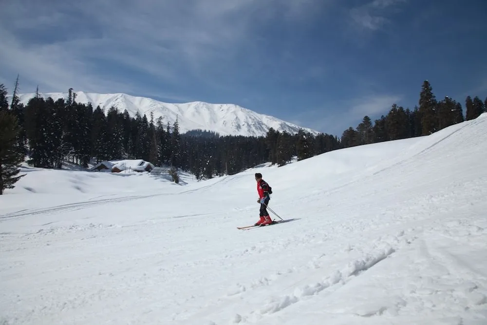 The Khyber Himalayan Resort & Spa Views