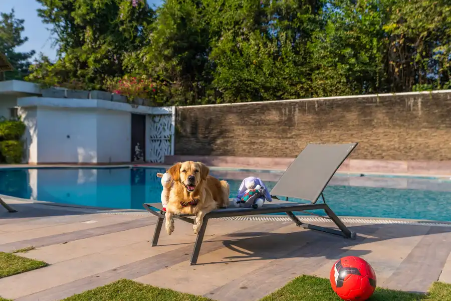 The Manvi Estate - Gurugram with Pool, New Delhi