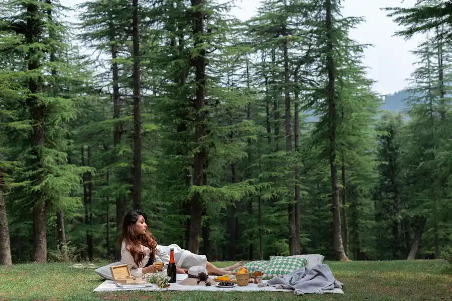 The Mohru Estate - Chail w/ Heated Pool, Shimla