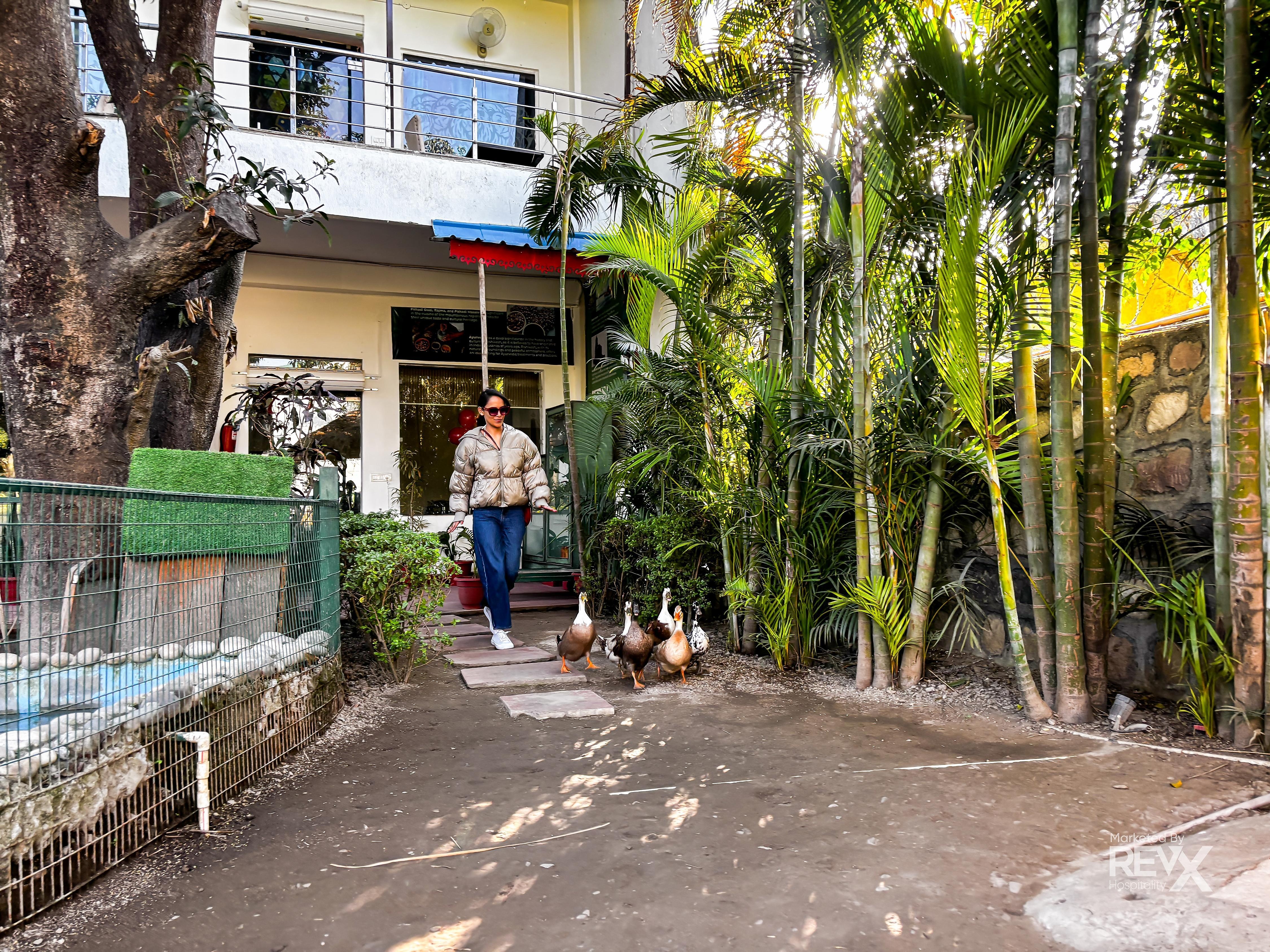 The Neeraj River Forest Resort Wellness Center Facade