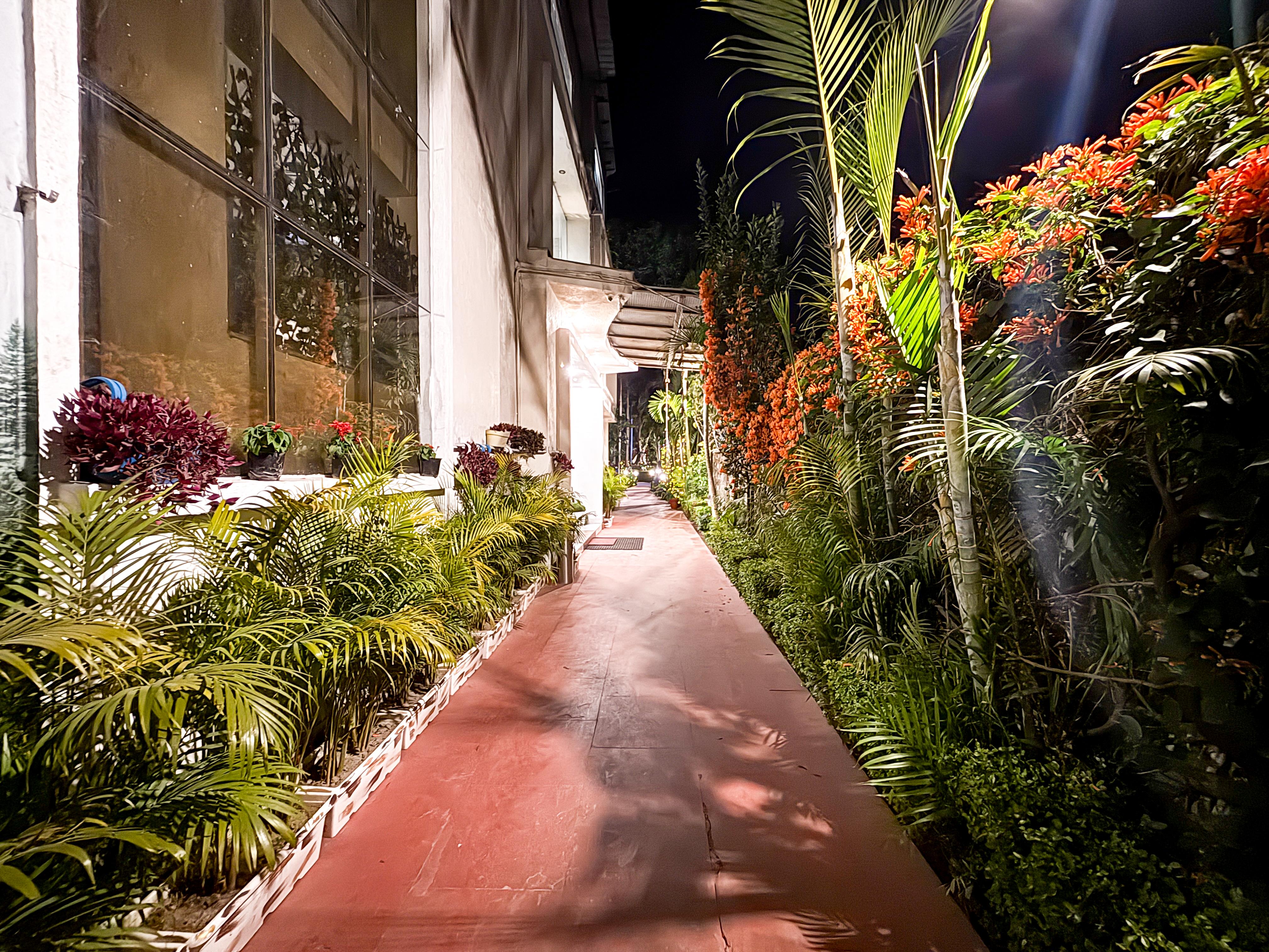 The Neeraj River Forest Resort Wellness Center Views