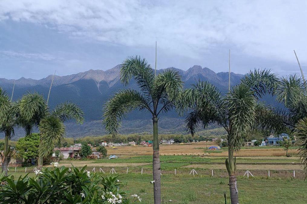 The Neeraj River Forest Resort Wellness Center Views