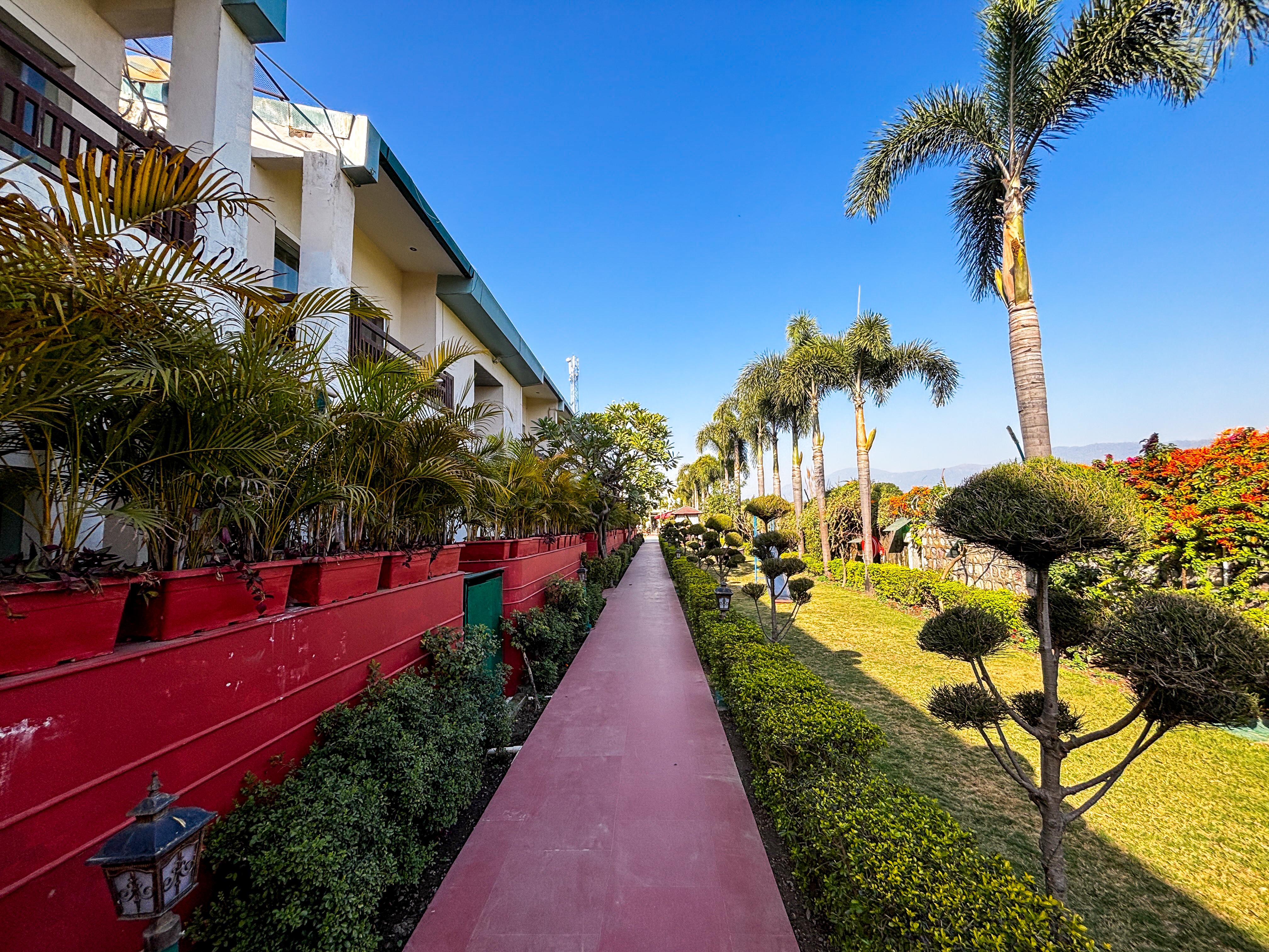 The Neeraj River Forest Resort Wellness Center Garden