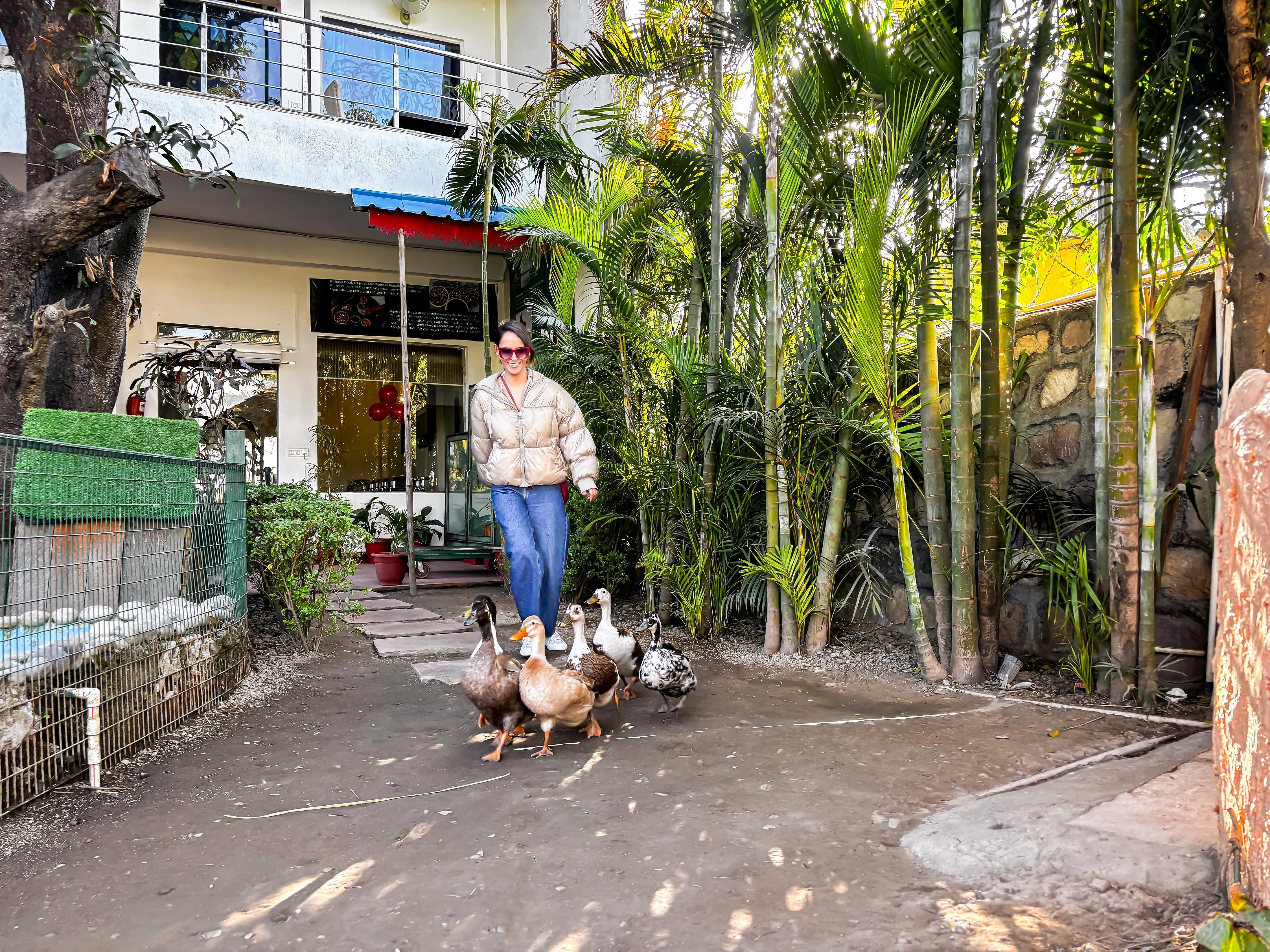 The Neeraj River Forest Resort Wellness Center Garden