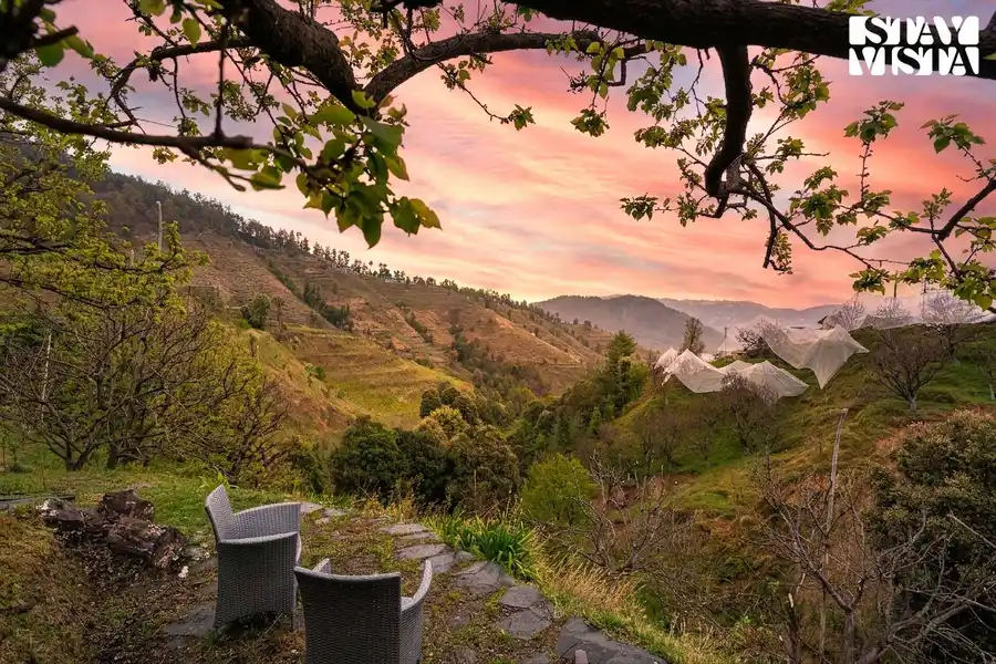 The Orchard Song- Chail with Jacuzzi, Shimla