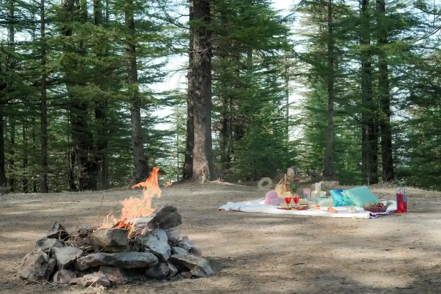 The Ridgeview Retreat Arabella, Shimla