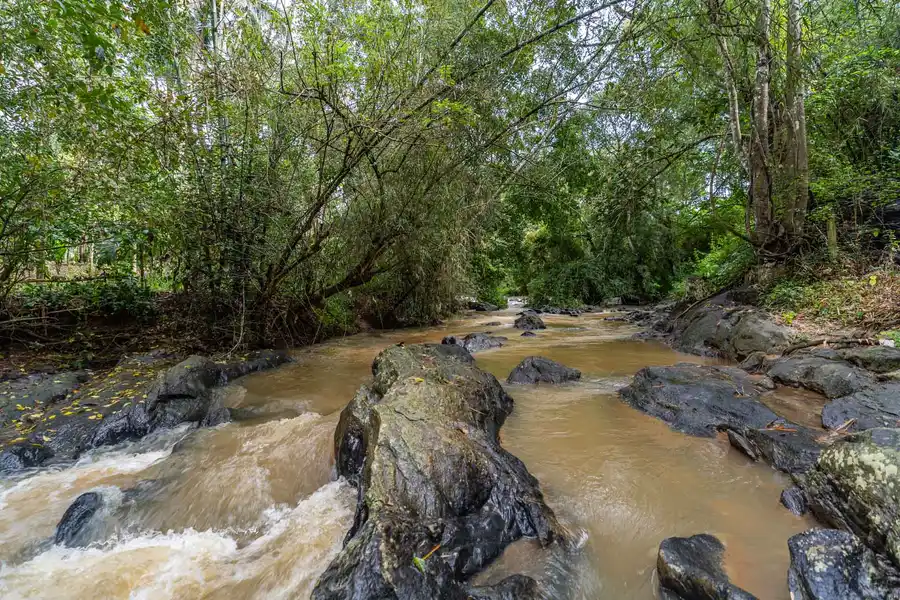 The River Mist, Wayanad