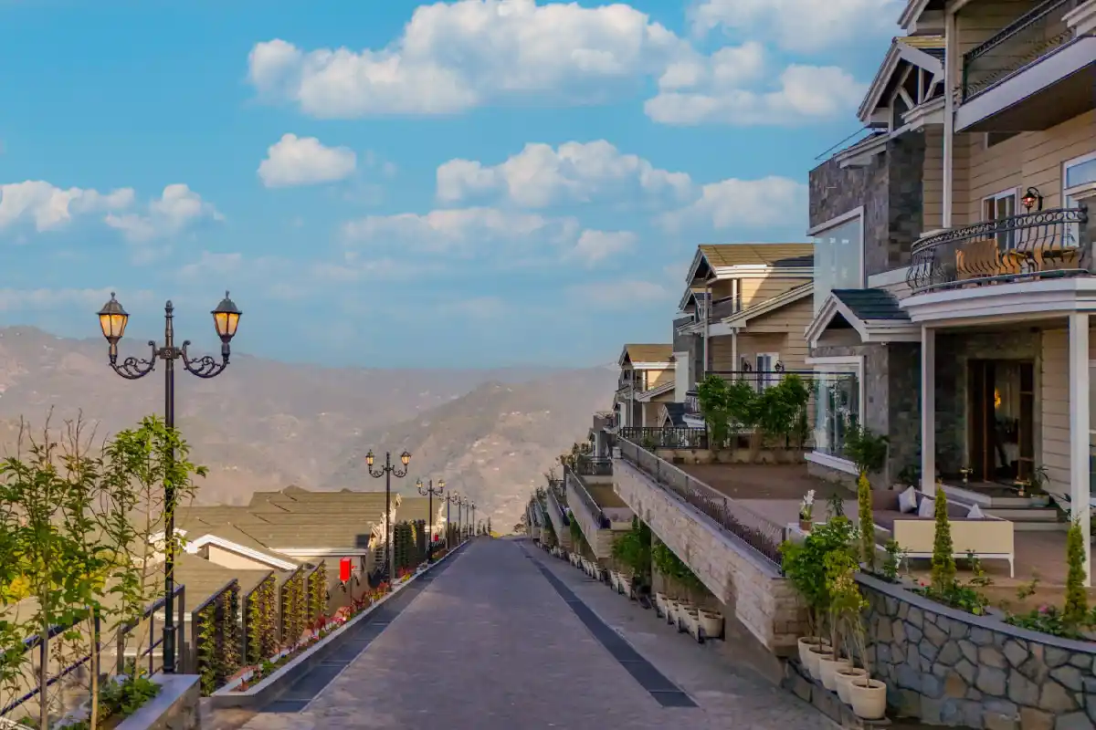 The Royce Daisy, Kasauli
