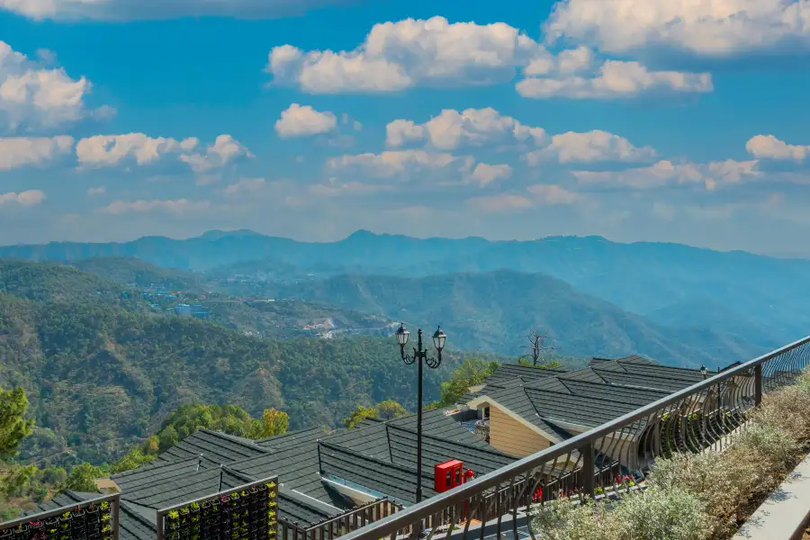 The Royce Daisy, Kasauli