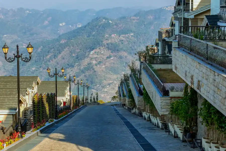 The Royce Rose, Kasauli