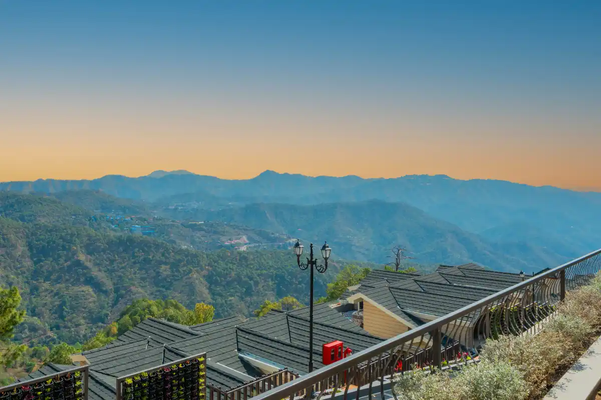 The Royce Rose, Kasauli