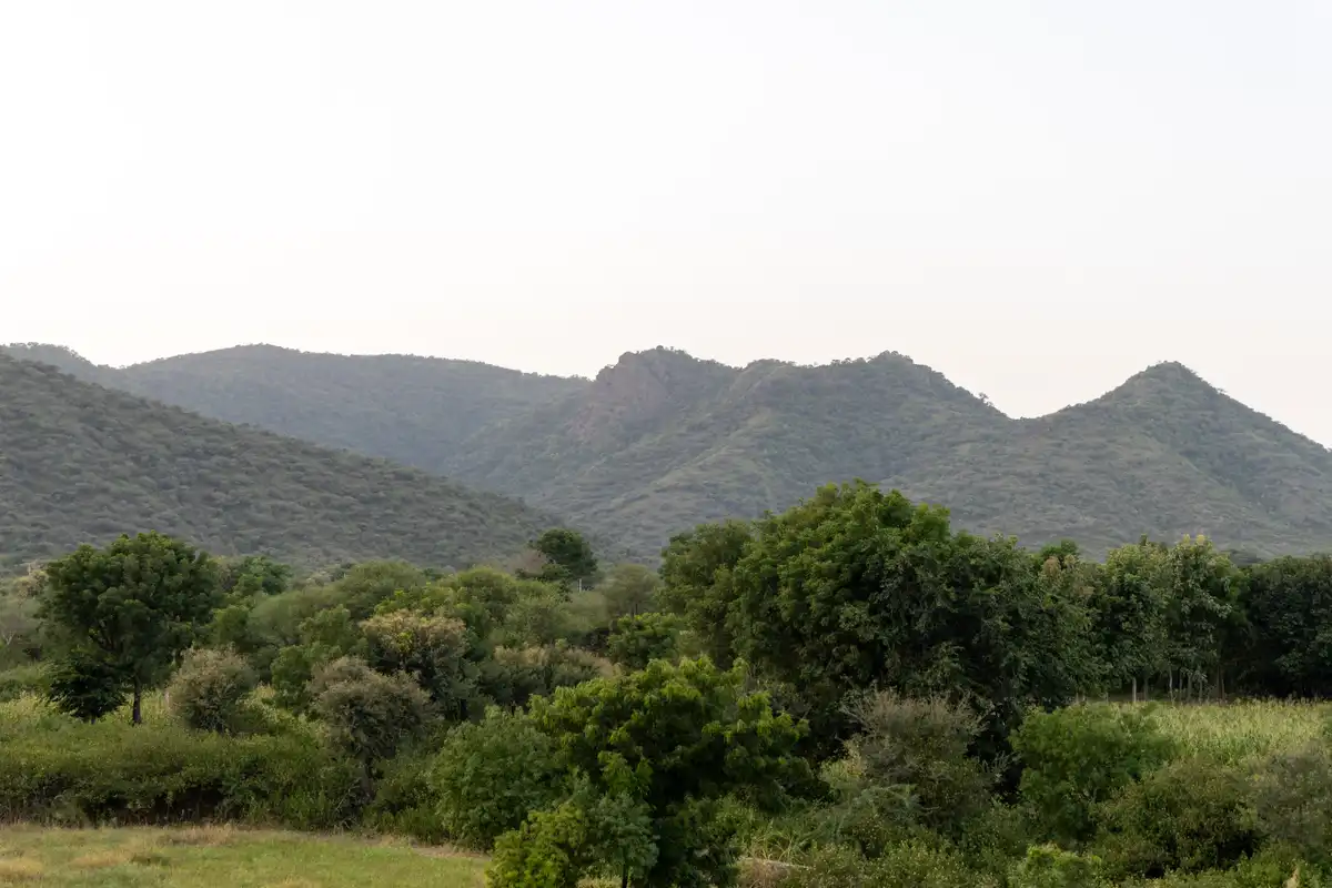 The Shyam Estate, Udaipur