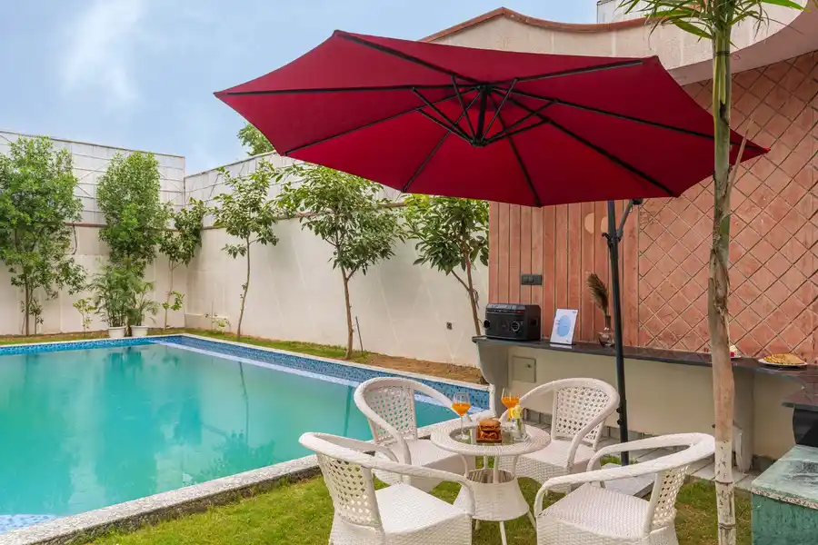 The Tree House, Jaipur
