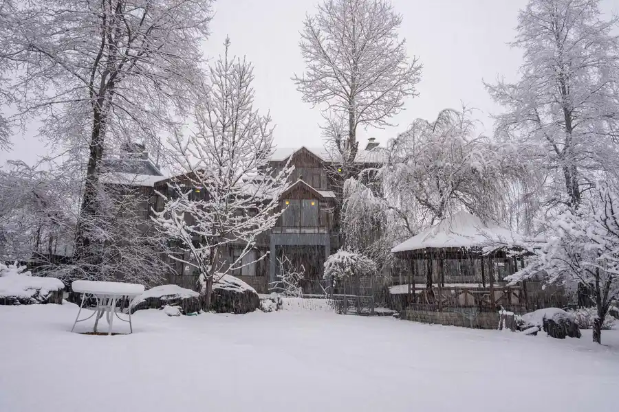 The WaterWillow, Manali