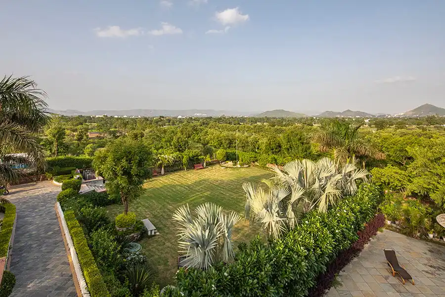 The Wild Orchid, Udaipur