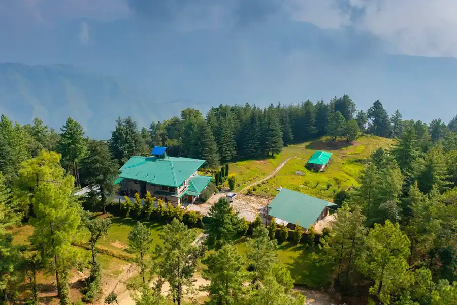 The Woods - Chail, Shimla