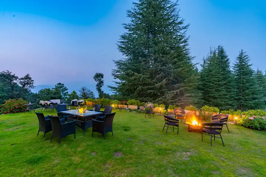 The Woods - Chail, Shimla