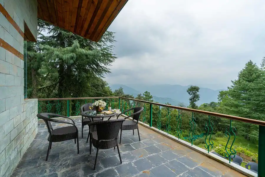 The Woods - Chail, Shimla