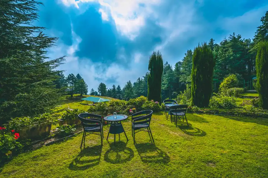 The Woods - Chail, Shimla