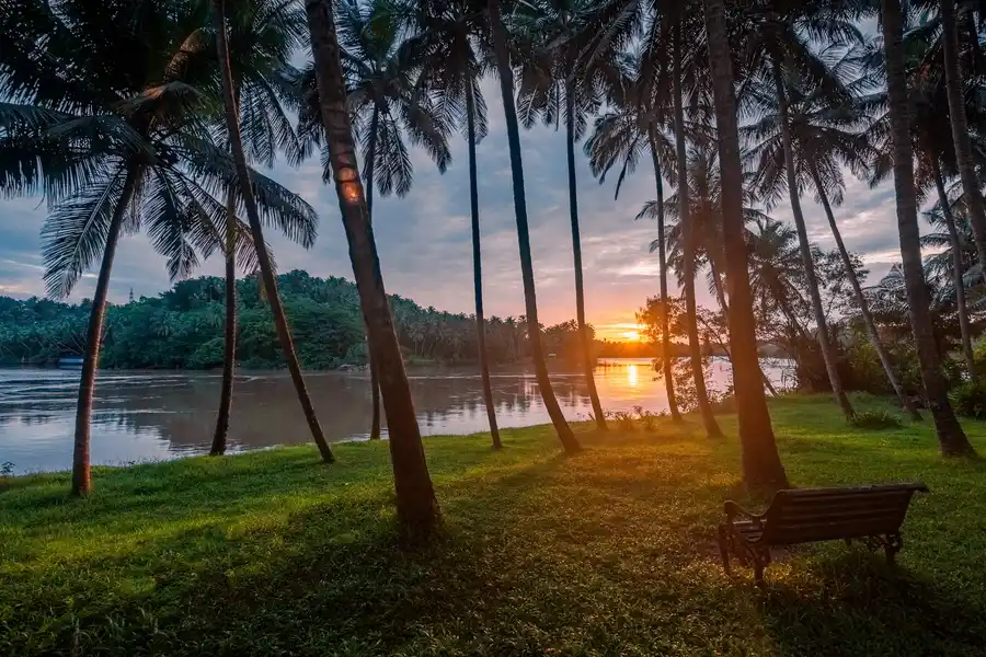 Toya Toya, Kozhikode