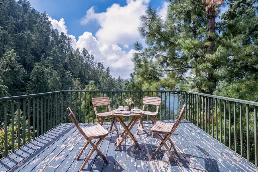 Under The Pines, Shimla